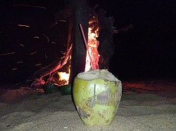 Feu de bois à la plage